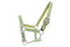 Color Collection by Ovation® Lucky Adjustable Breakaway Halter - Cactus