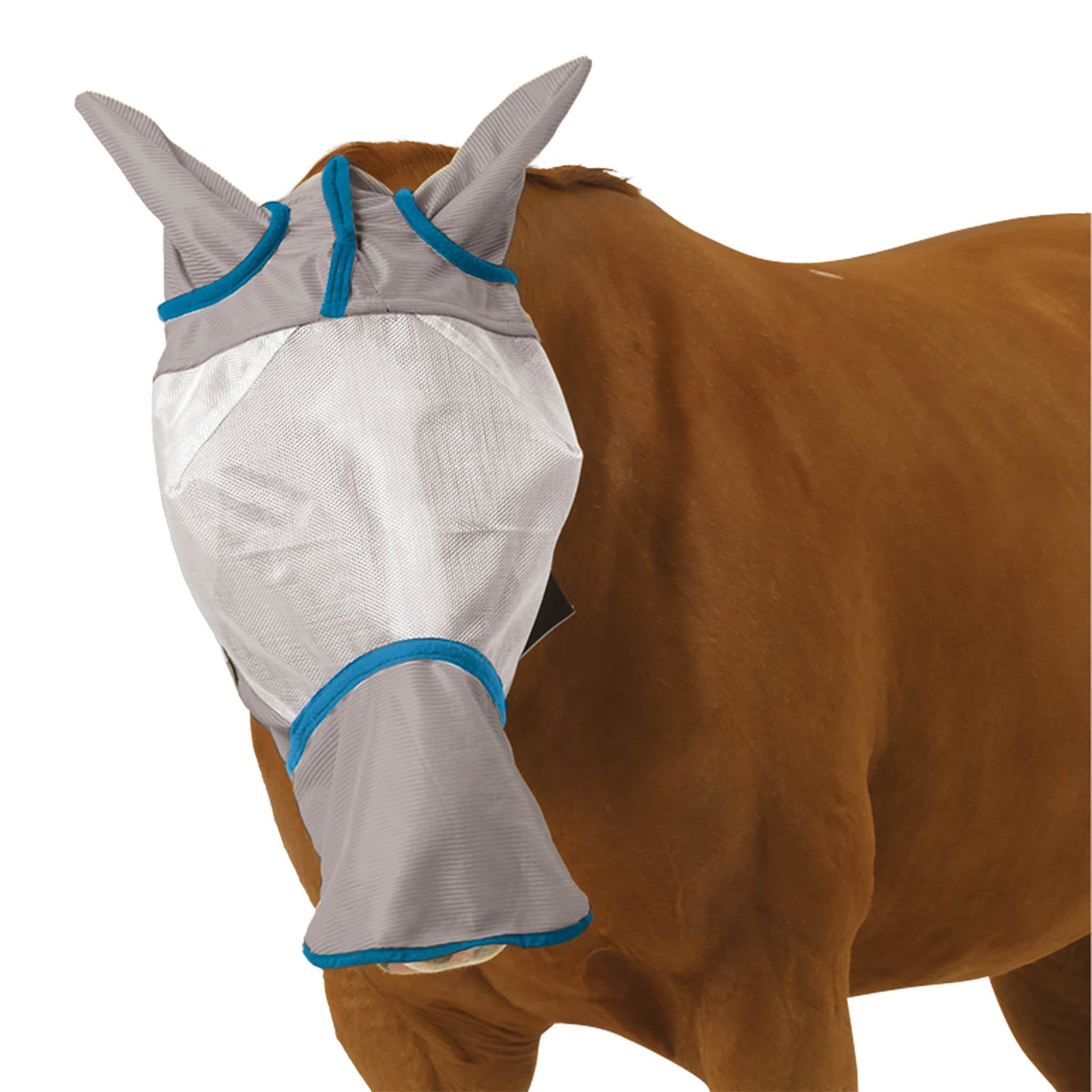 Super Fly Long Nose Mask - Grey/Teal – Ovation Riding