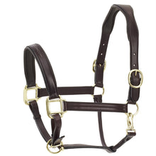  Elite Fancy Stitched Flat Padded Halter