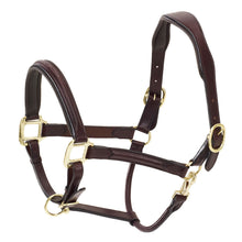  Elite Fancy Stitch Raised Padded Halter