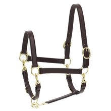  4-Way Leather Grooming Halter