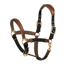  Luxor Cushion-Flex Halter - Brown/Black