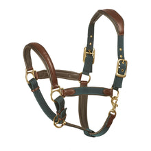  Luxor Cushion-Flex Halter - Brown/Green