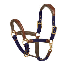  Luxor Cushion-Flex Halter - Brown/Navy