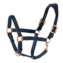  Luxor Cushion Flex Halter