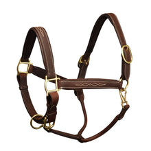  Richtan Luxury Padded Halter - Brown/Brown