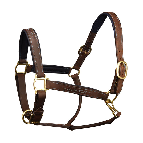 Richtan Luxury Padded Halter - Brown/Blue