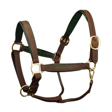  Richtan Luxury Padded Halter - Brown/Hunter