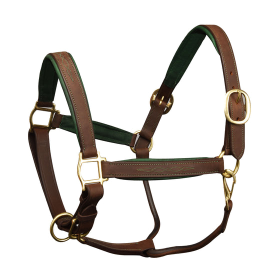 WO09A Dy'on Buffalo Leather halter with padded headpiece and padded, fancy  stitched noseband. Cream stitching - RIDE