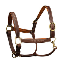  Richtan Luxury Padded Halter - Brown/Tan