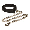 Richtan Lead and Chain