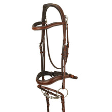  Cambridge Anatomic Bridle