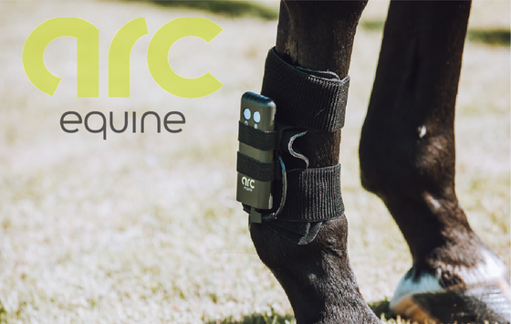 ARC Equine Therapy System Leg Strap