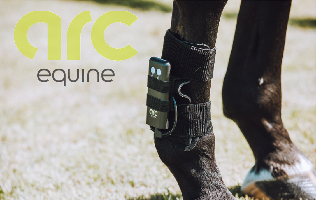 ARC Equine Therapy System Conductive Gel – Ovation Riding ARC Equine Therapy System Conductive Gel – Ovation Riding