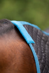 Ovation® Turbo-Dry Cooler