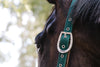 Color Collection by Ovation® Lucky Adjustable Breakaway Halter - Hunter